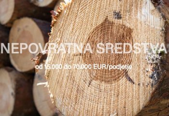 SPODBUDE ZA MIKRO PODJETJA V LESARSTVU - P4LM 2023